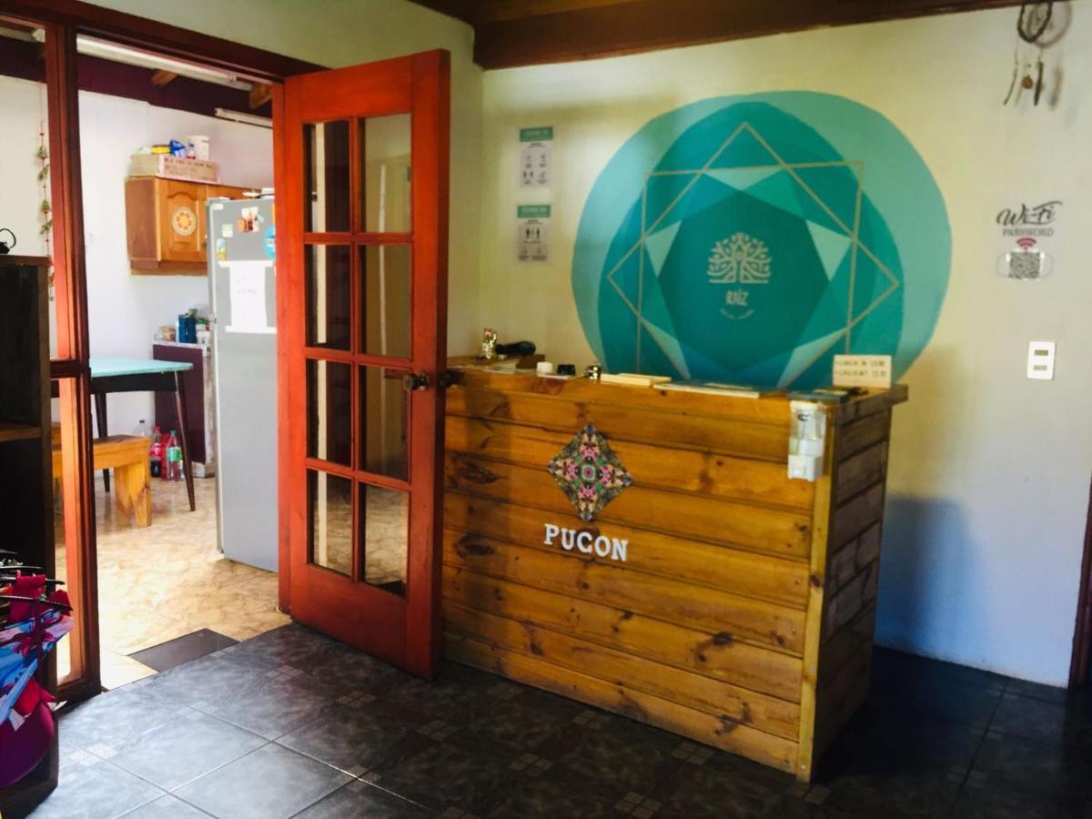 Hostel Raiz Pucón Kültér fotó