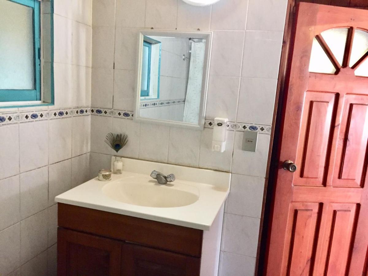 Hostel Raiz Pucón Kültér fotó