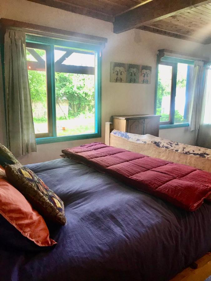 Hostel Raiz Pucón Kültér fotó